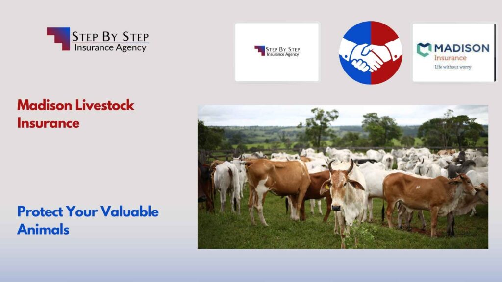 Madison Livestock Insurance – Protect Your Valuable Animals