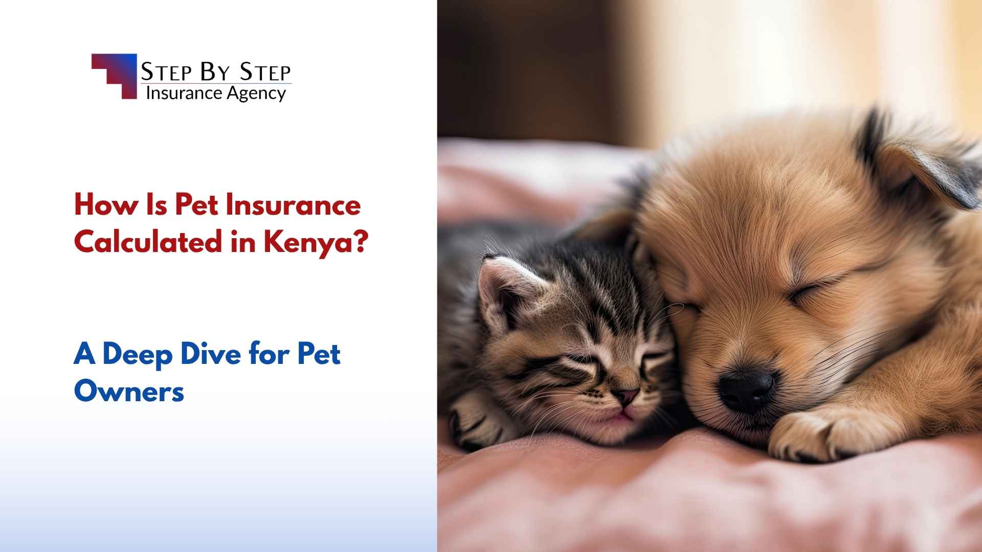 How Is Pet Insurance Calculated in Kenya? A Deep Dive for Pet Owners